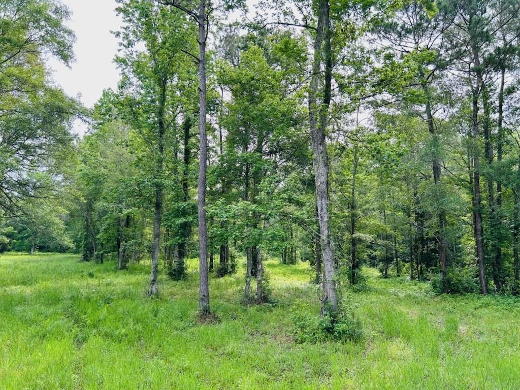 9985 Highway 17 North  Photo 16