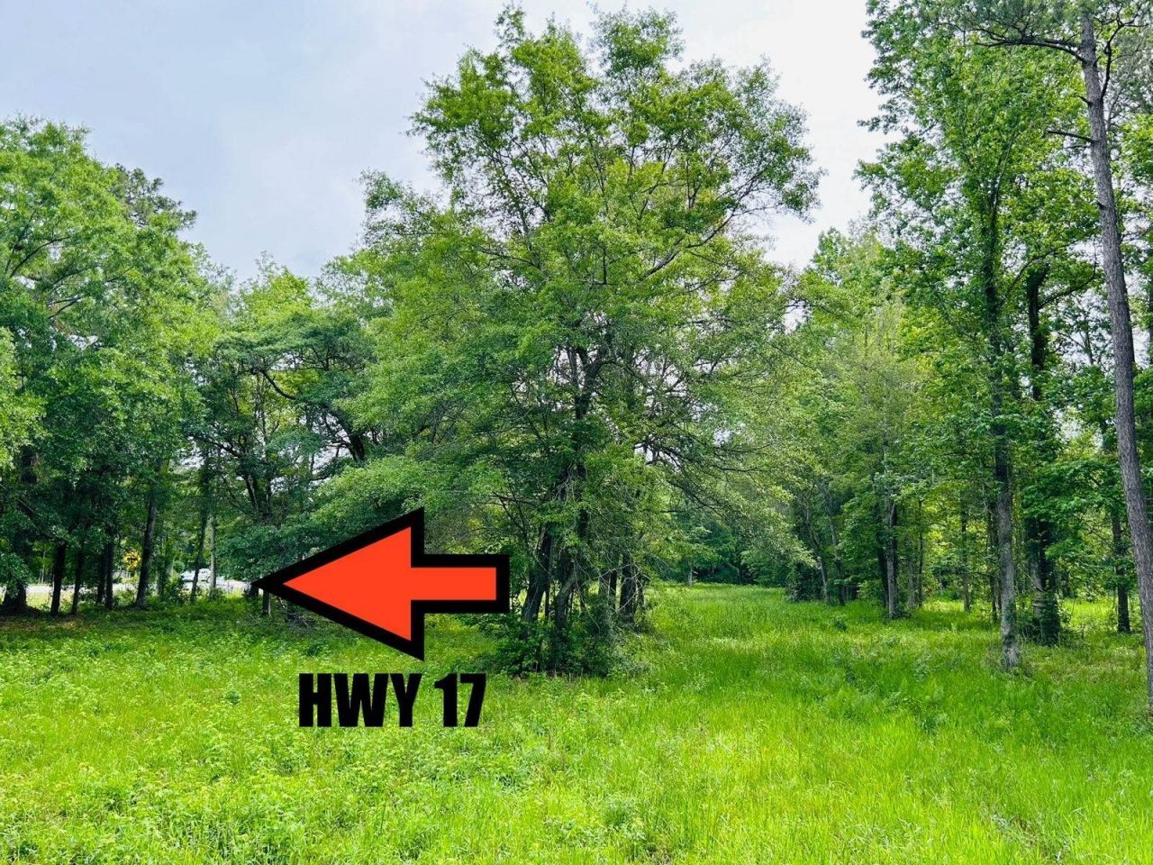 9985 Highway 17 North  Photo 17