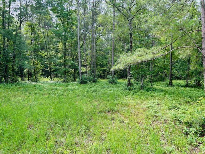 9985 Highway 17 North  Photo 18