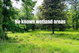 9985 Highway 17 North  photo 4