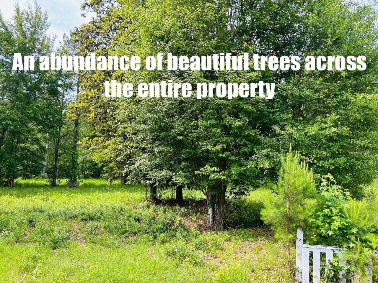 9985 Highway 17 North  Photo 4