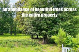 9985 Highway 17 North  photo 4