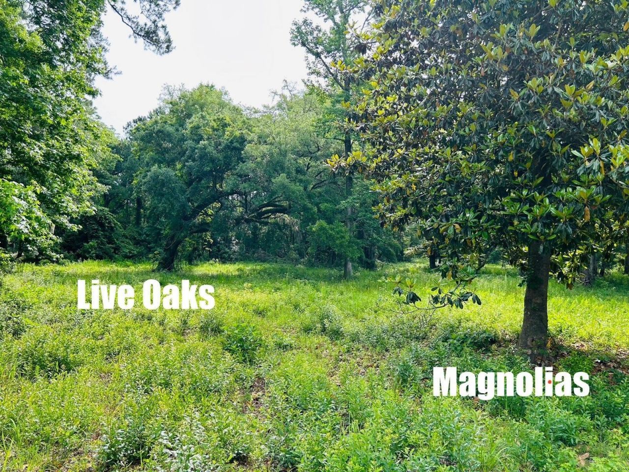 9985 Highway 17 North  Photo 5