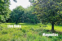 9985 Highway 17 North  photo 4