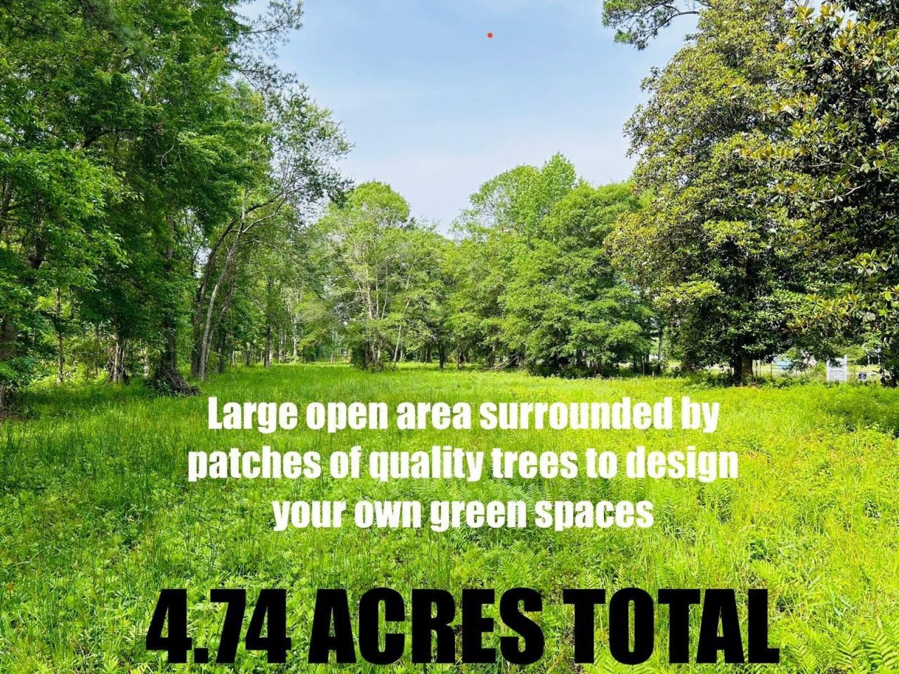 9985 Highway 17 North  Photo 6