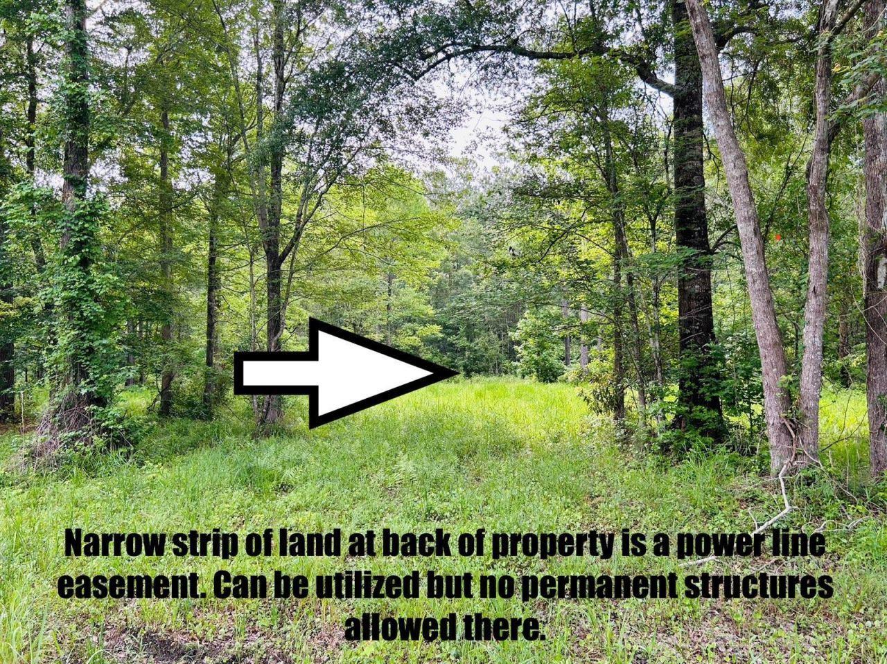 9985 Highway 17 North  Photo 8