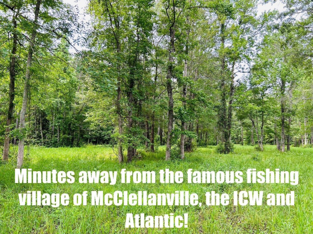 9985 Highway 17 North  Photo 9