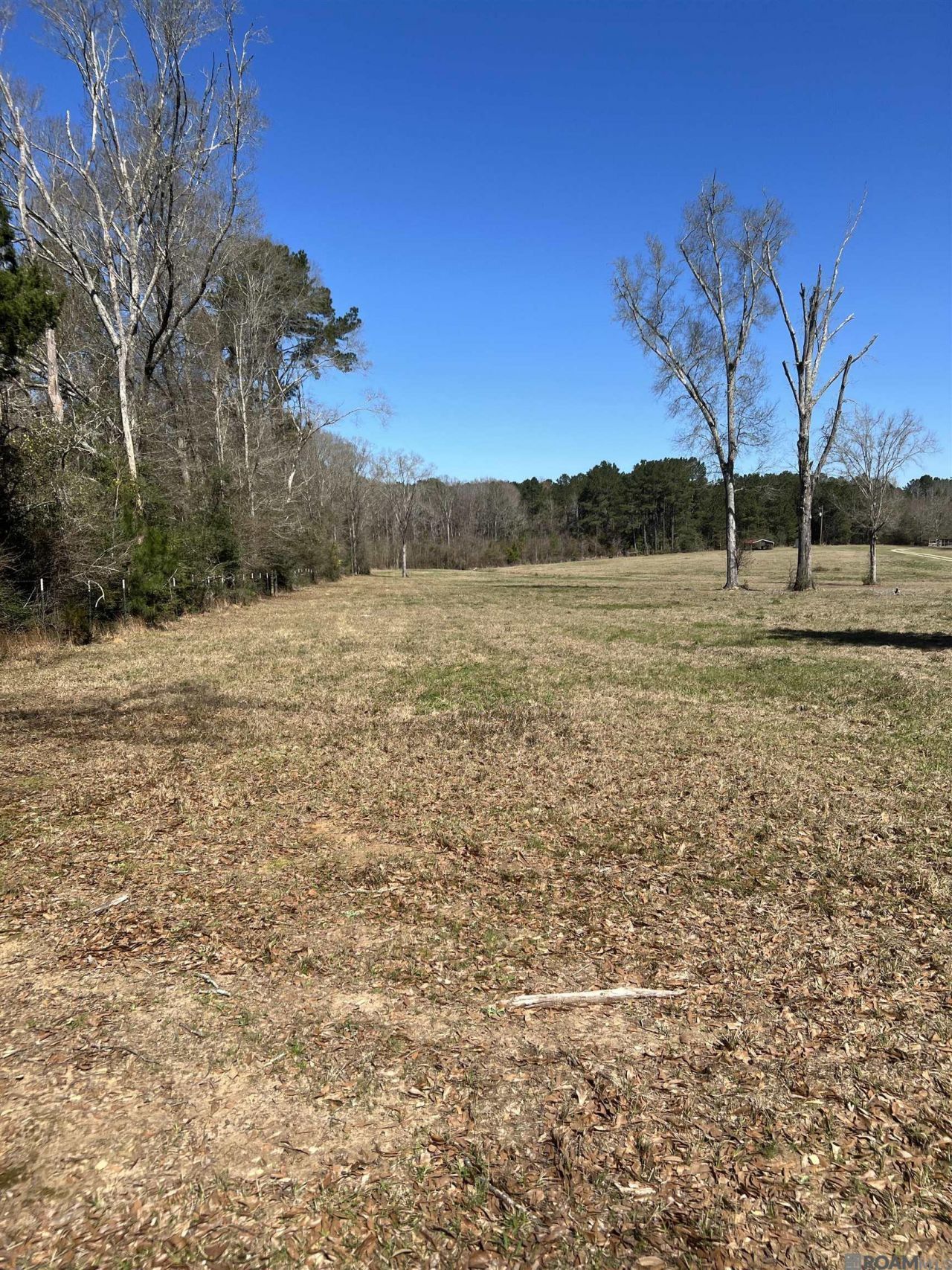 Lot 2-a-1 Andrews Ln, Clinton, LA 70722 Main Photo