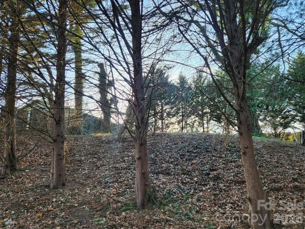 8 John Street , Asheville, NC 28801