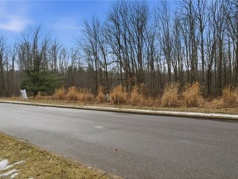 Lakeview Drive, Hubbard, OH 44425 Photo 2