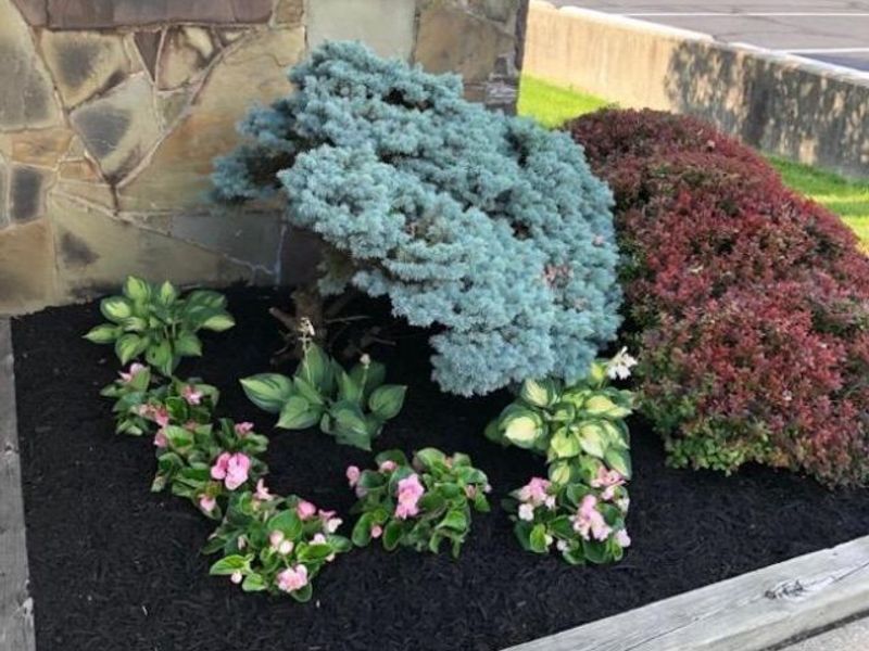 10 S Highview Road, Middletown, OH 45044 Photo 8