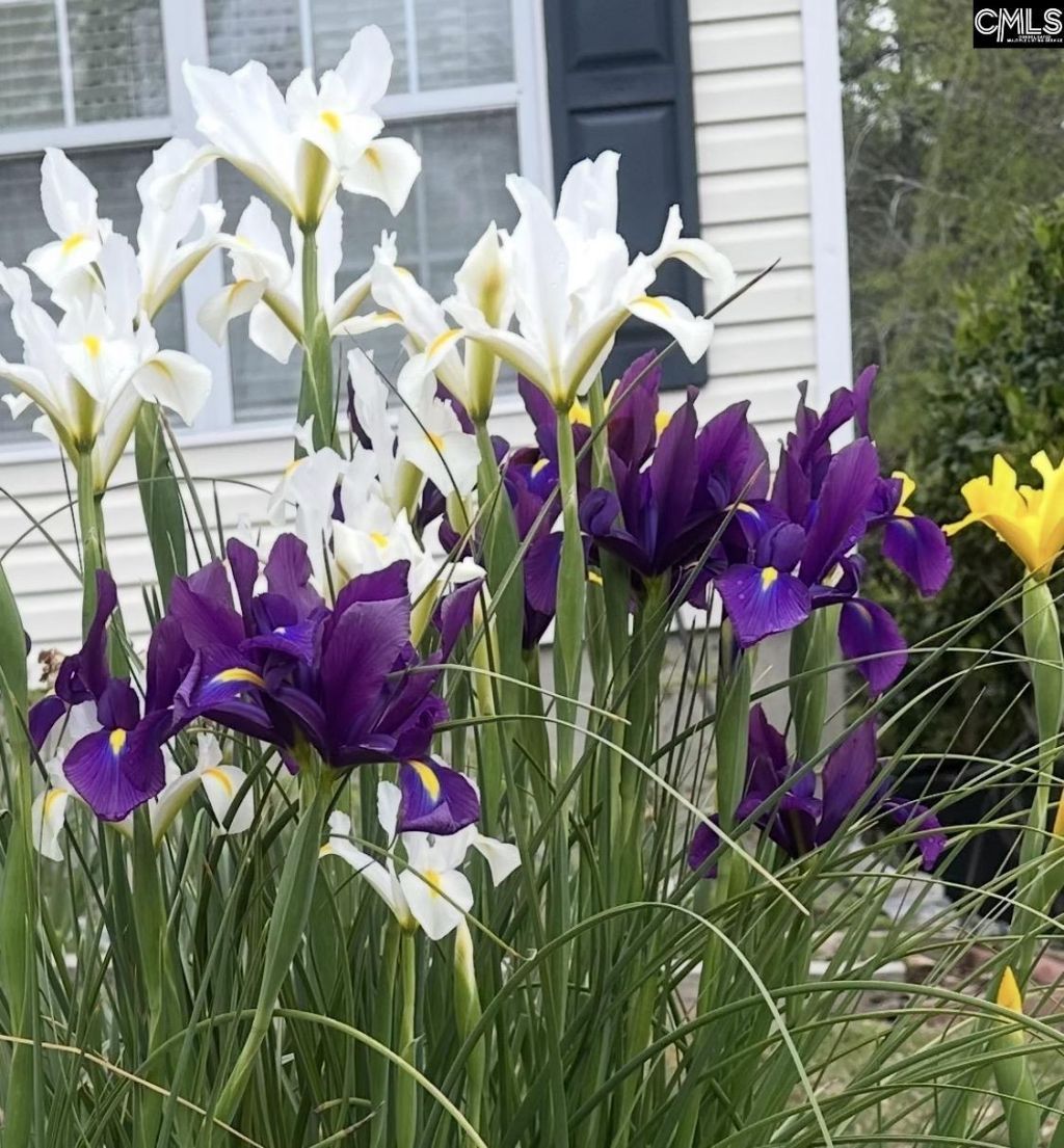 1017 Aderley Oak Drive Photo 44