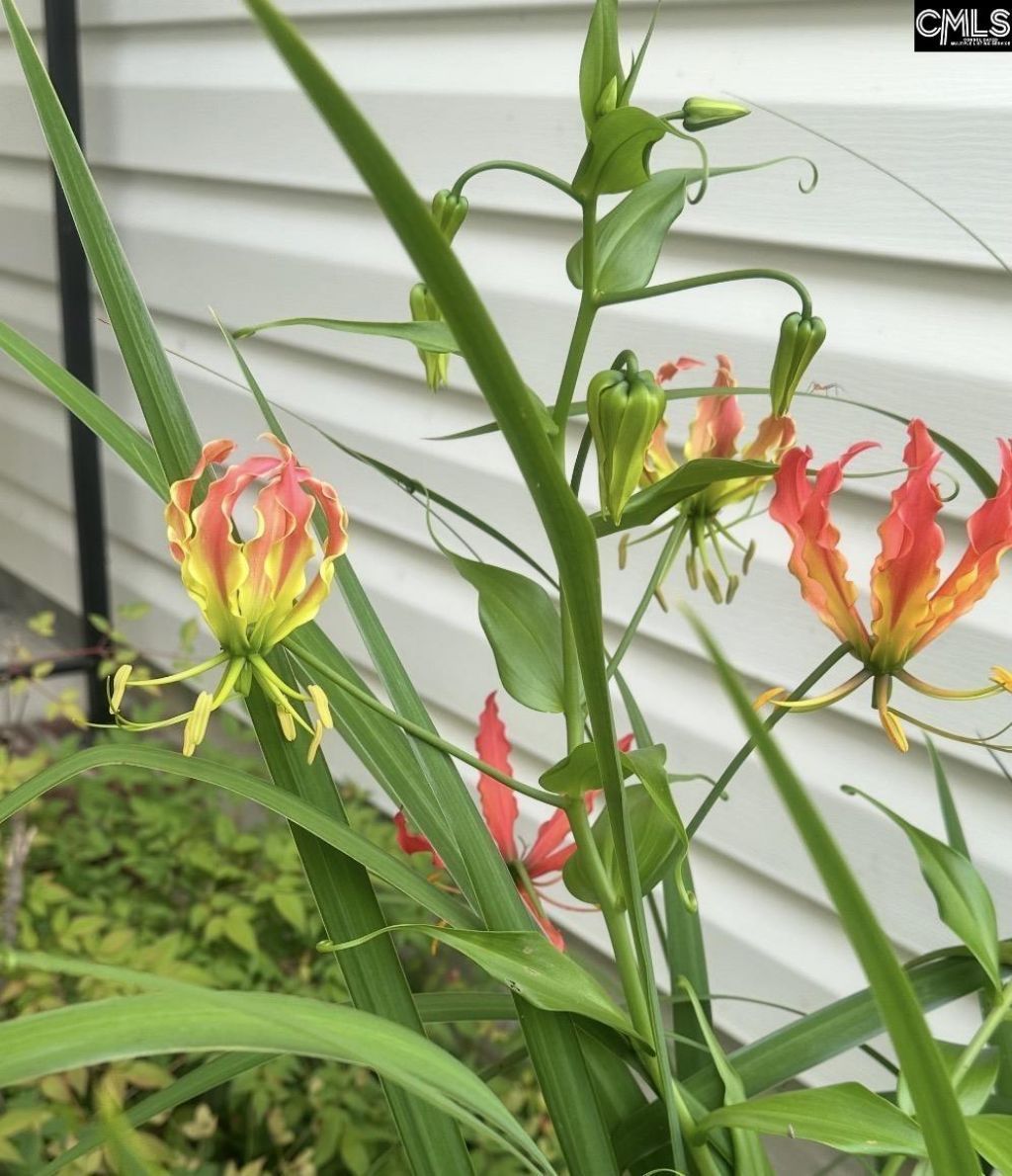 1017 Aderley Oak Drive Photo 47