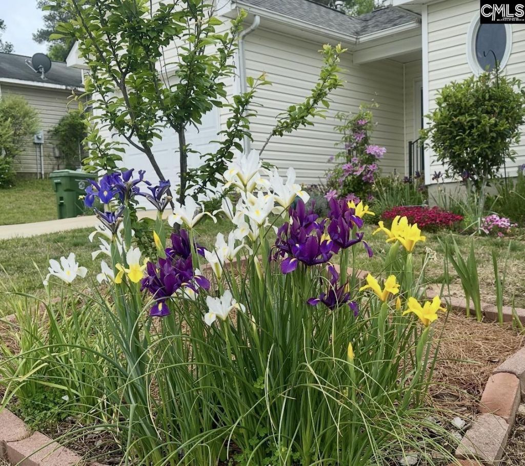 1017 Aderley Oak Drive Photo 49