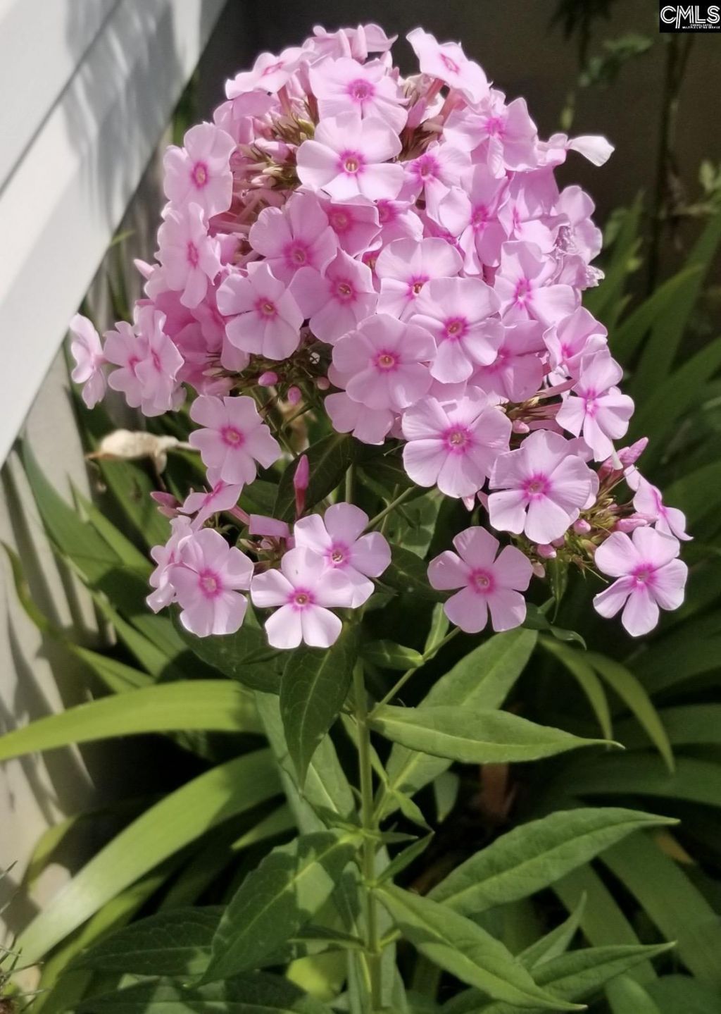 1017 Aderley Oak Drive Photo 50