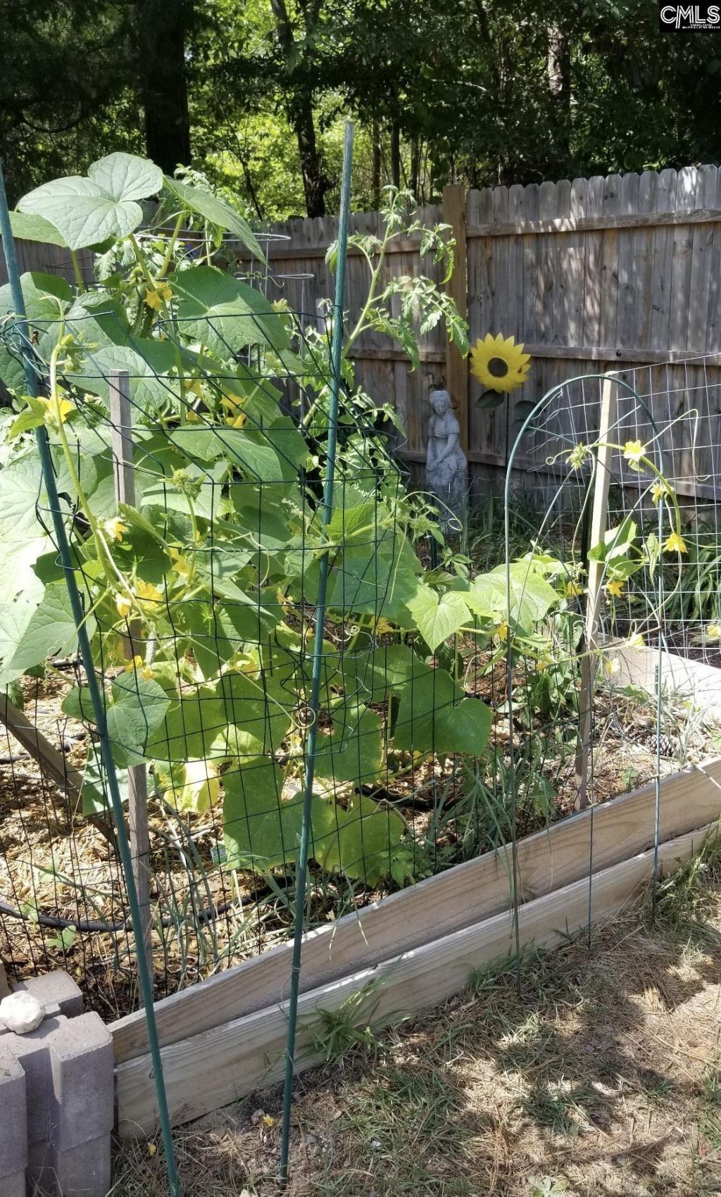 1017 Aderley Oak Drive Photo 51