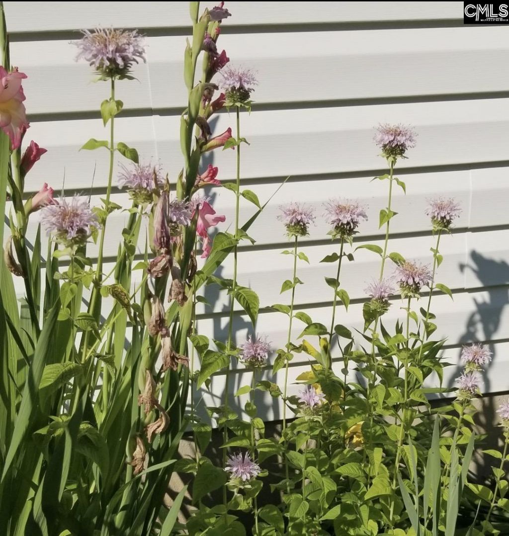 1017 Aderley Oak Drive Photo 52