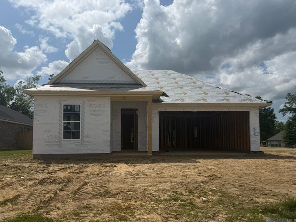 12089 Clare Ct, Geismar, LA 70734