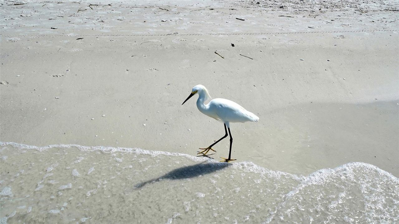 5920 Midnight Pass Road, Unit 1003, Sarasota, FL 34242 Photo