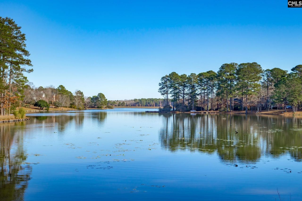 115 Fallen Oak Drive Photo 90