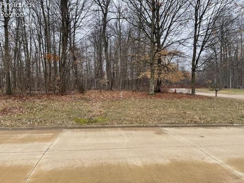 0 Stony Brook, Wakeman, OH 44889 Photo 2