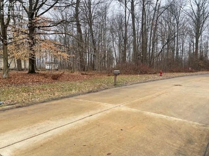 0 Stony Brook, Wakeman, OH 44889 Photo 3