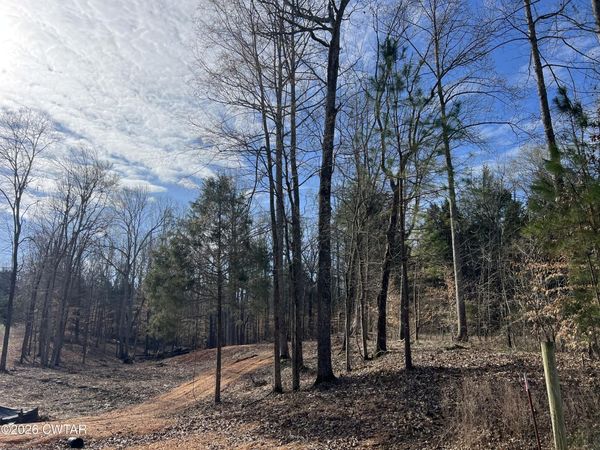 0 Excalibur Trail ( Lot 232) , Cedar Grove, TN 38321