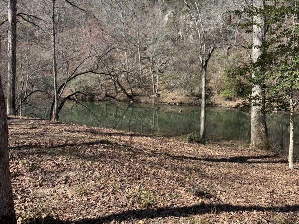 TBD Quail Lane, Murfreesboro, AR 71958