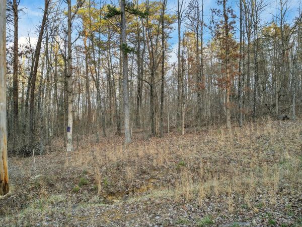 0 Brentwood Lane, Dunlap, TN 37327