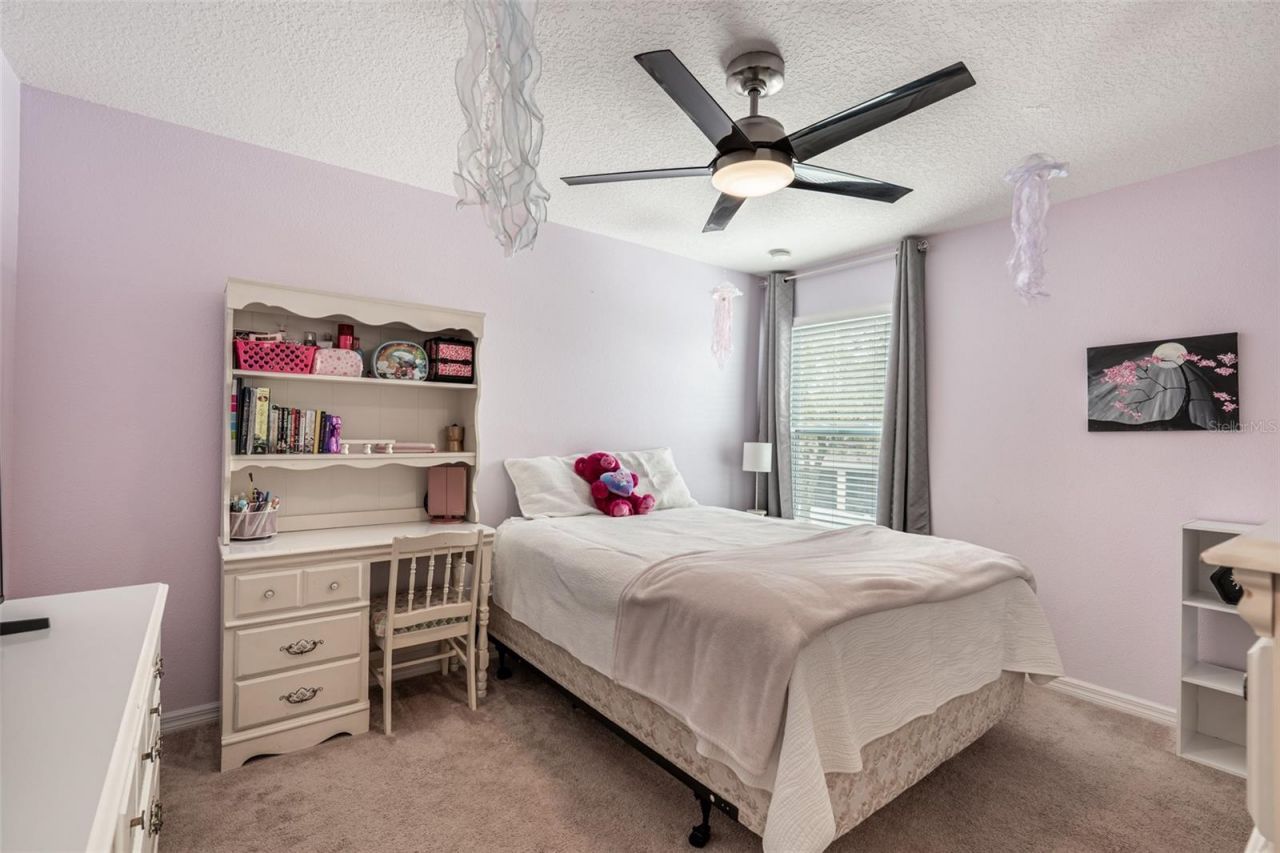 9902 Lenox Street, Clermont, FL 34711 Photo