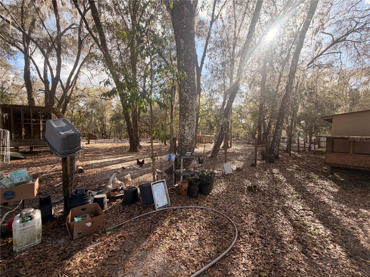 25408 Oneal Road , Brooksville, FL 34601 Photo