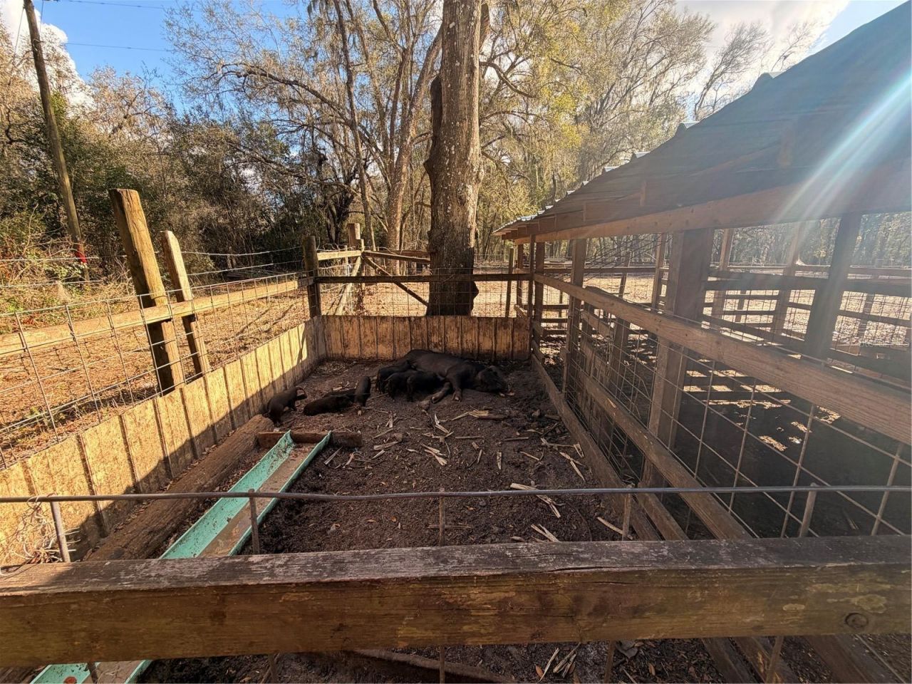 25408 Oneal Road , Brooksville, FL 34601 Photo