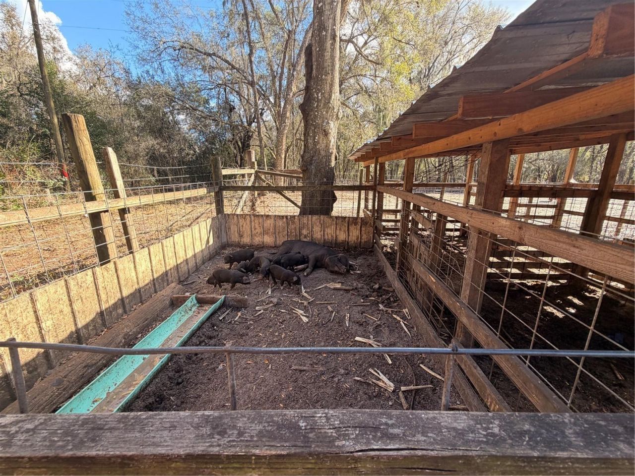 25408 Oneal Road , Brooksville, FL 34601 Photo