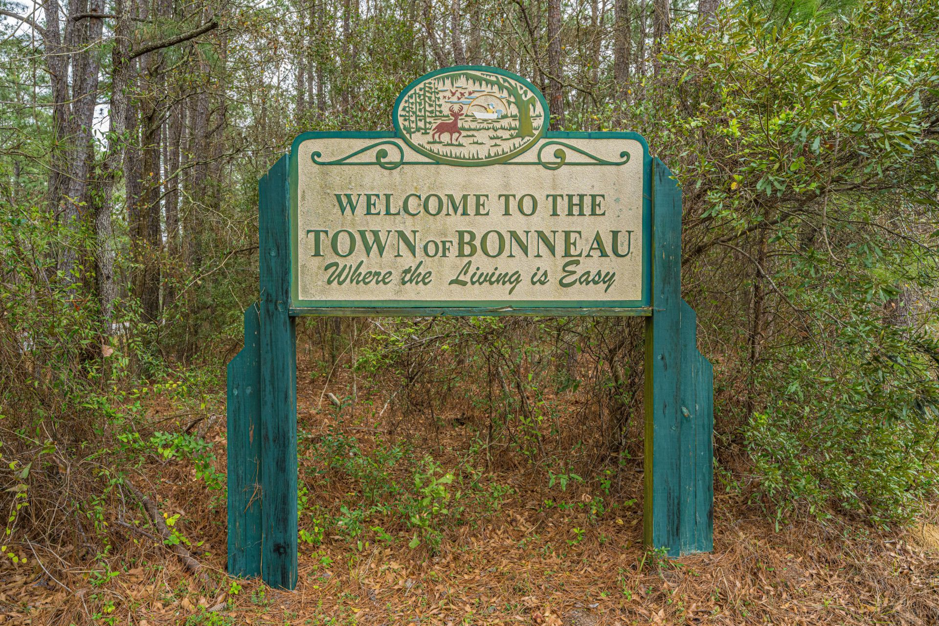 164 Albacore Road Photo 60