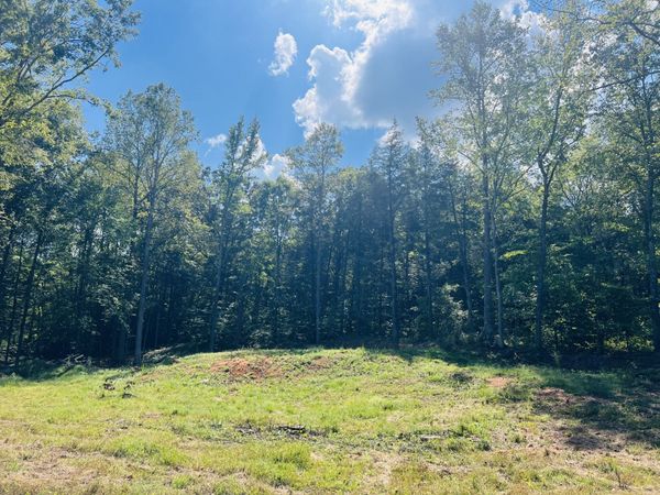 0 Excalibur Trail, Unit 232, Cedar Grove, TN 38321