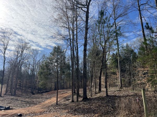 0 Excalibur Trail , Cedar Grove, TN 38321