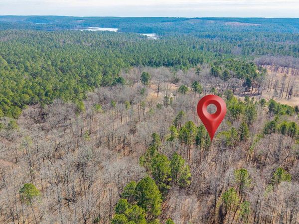 0000 BRUSHY CEMETERY Road, Amity, AR 71921