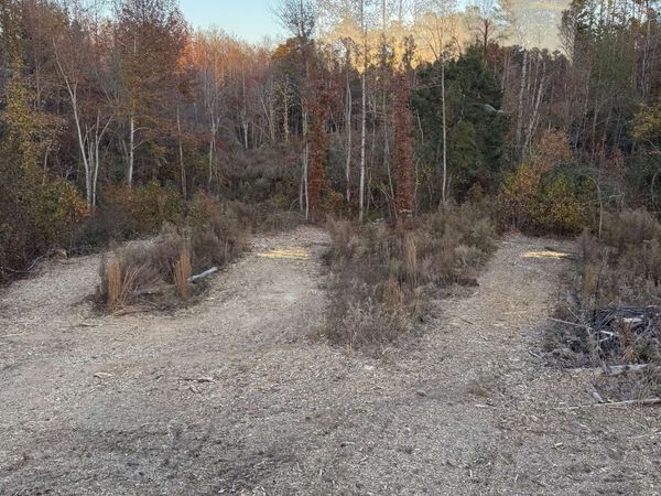 0 Co Rd 75, Hamilton, AL