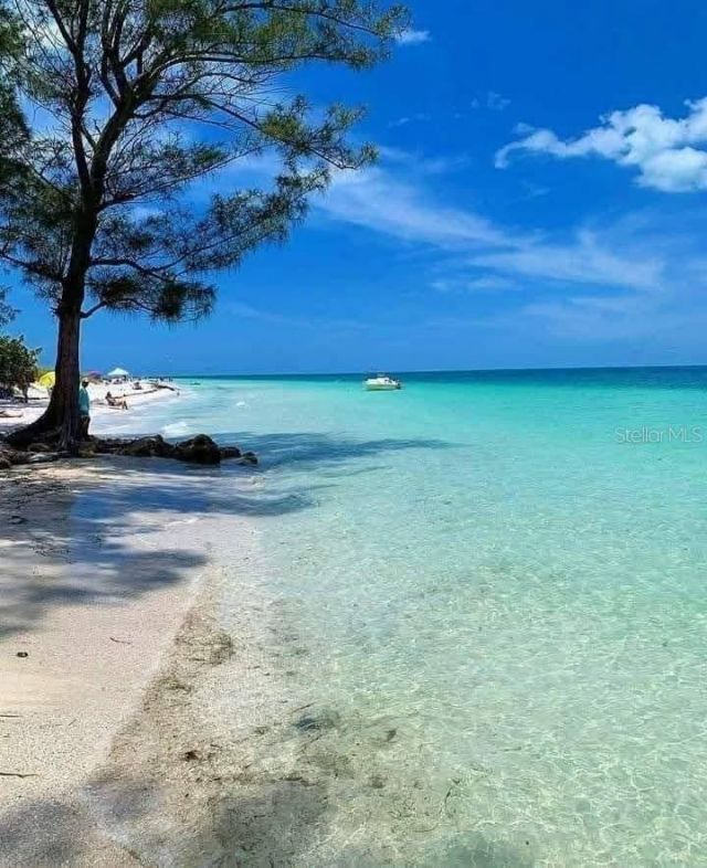 316 Hammock Circle, Anna Maria, FL 34216 Photo