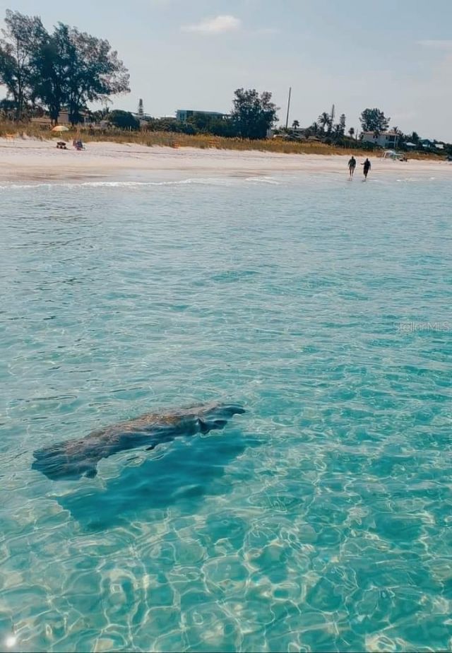 316 Hammock Circle, Anna Maria, FL 34216 Photo