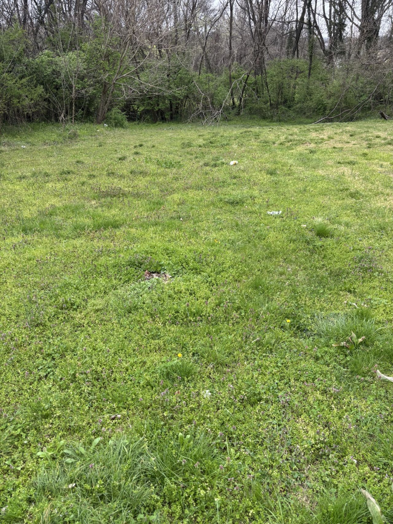 0 W 3rd St, Columbia, TN 38401 Main Photo