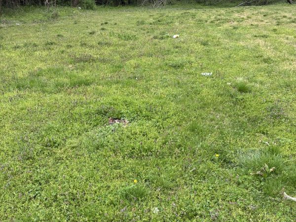 0 W 3rd St, Columbia, TN 38401