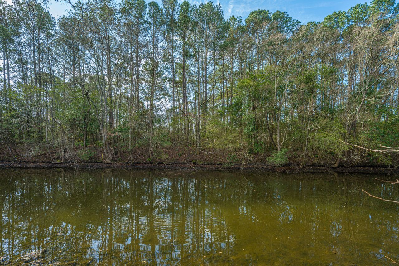 1561 Montclair Street Photo 77