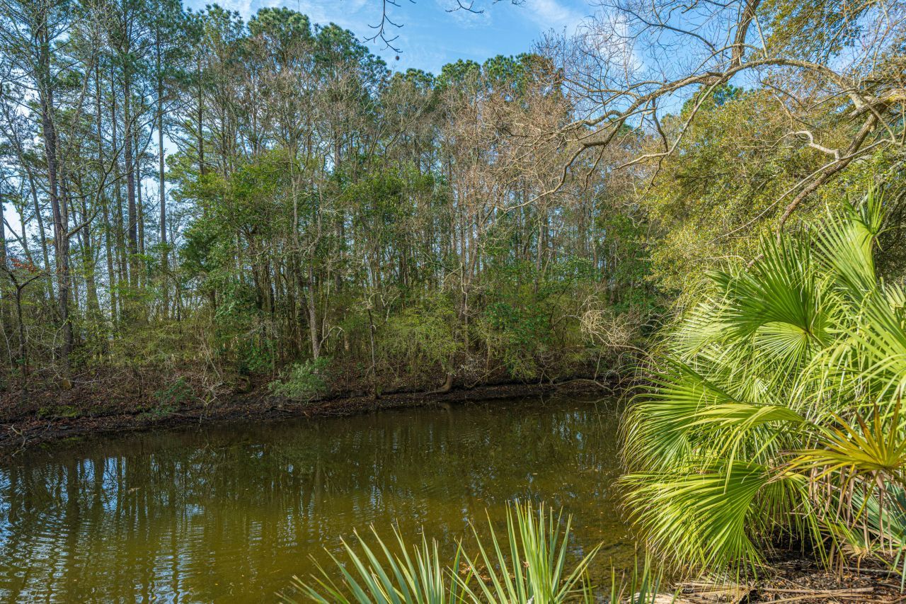 1561 Montclair Street Photo 78