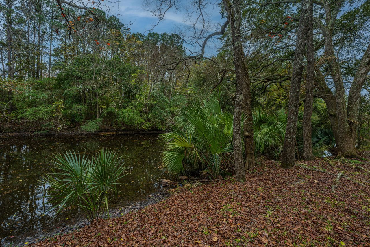 1561 Montclair Street Photo 79