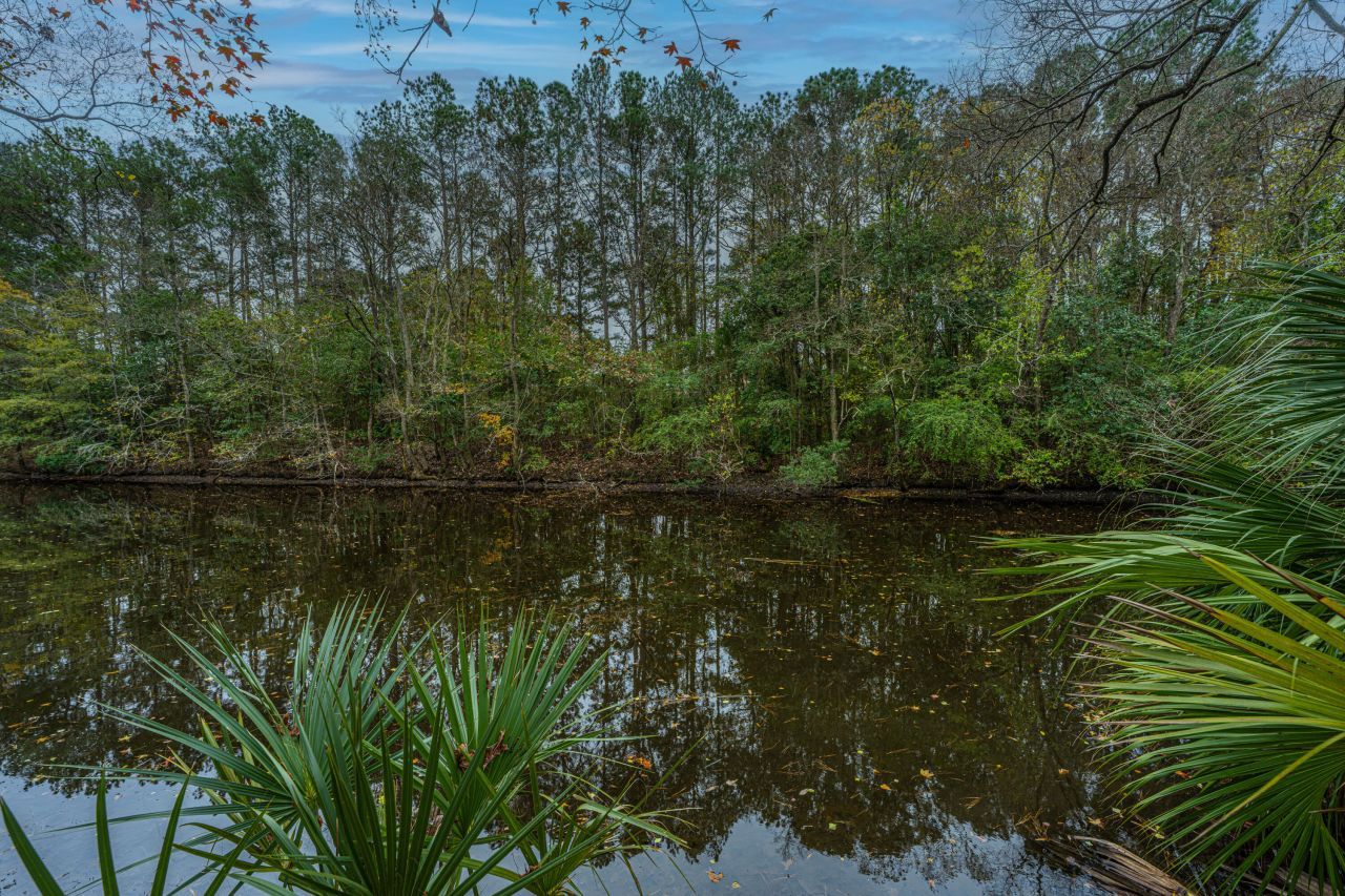 1561 Montclair Street Photo 80