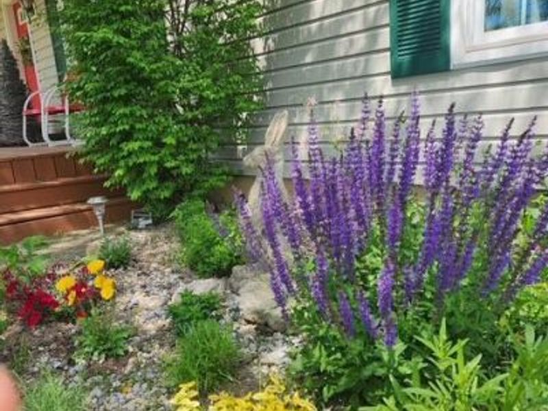 15338 Township Road 195, Kenton, OH 43326 Photo 57