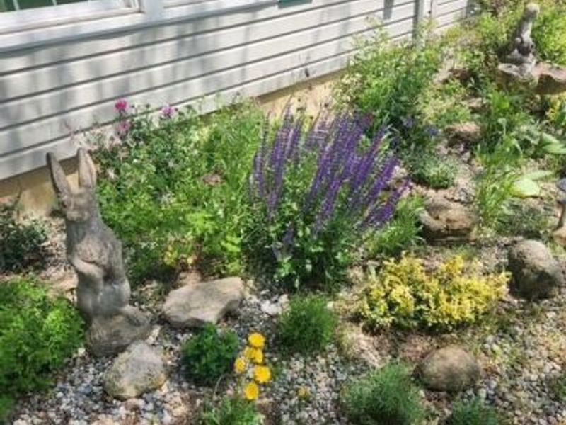 15338 Township Road 195, Kenton, OH 43326 Photo 62