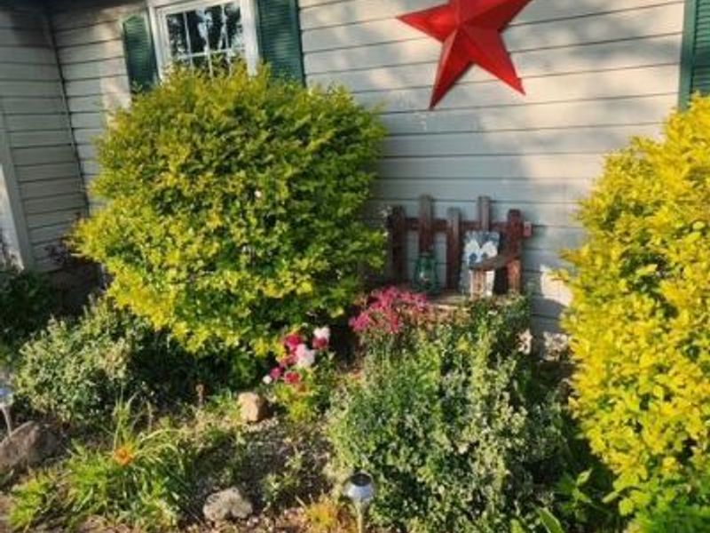 15338 Township Road 195, Kenton, OH 43326 Photo 65