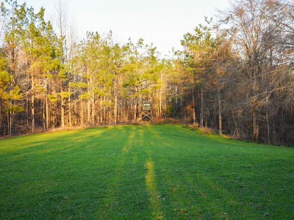 N Mission, Winona, MS 38967